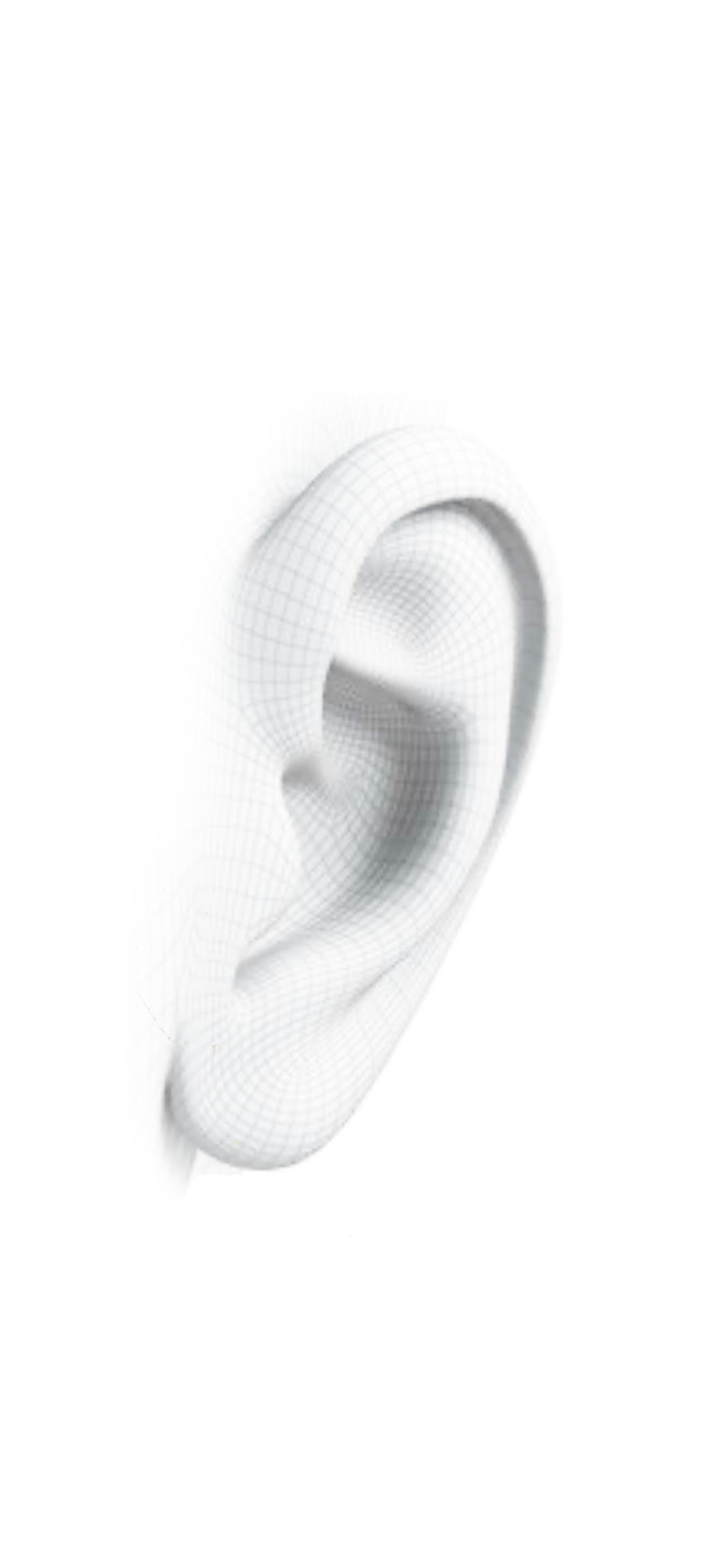 Digital 3D model generated from a WAVS ear scan