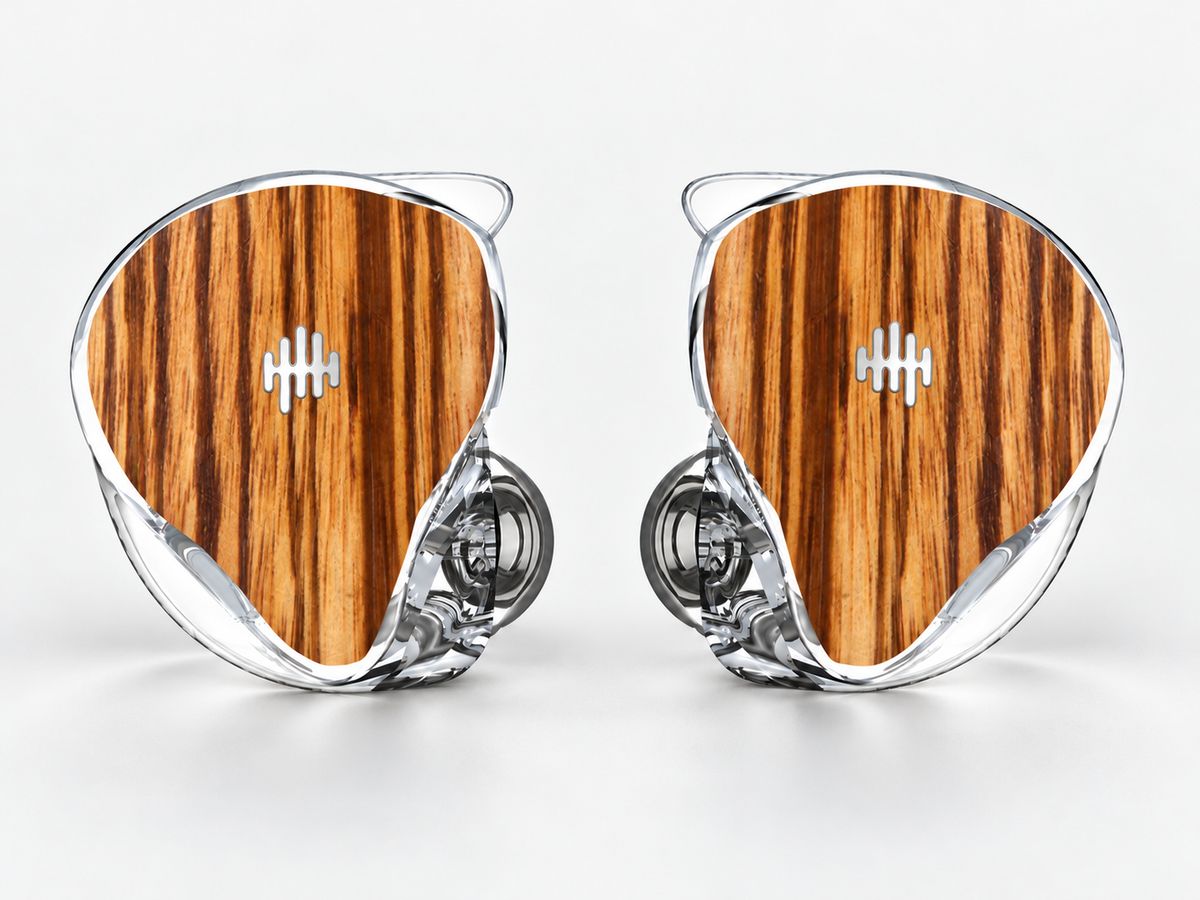 WAVS Custom IEMS