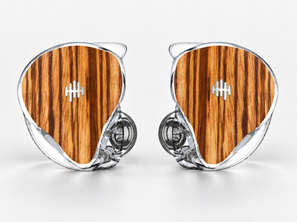 WAVS Custom IEMS